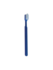 Brosse à dents imprégnée de dentifrice - Boite de100