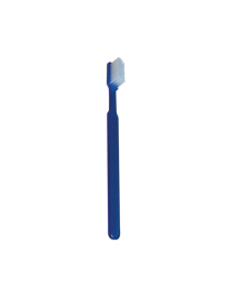 Brosse à dents imprégnée de dentifrice - Boite de 100