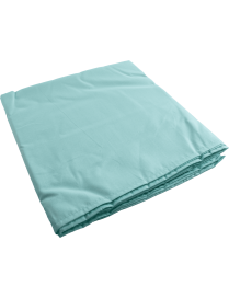 Drap plat professionnel 160x290 cm - Couleur Verte